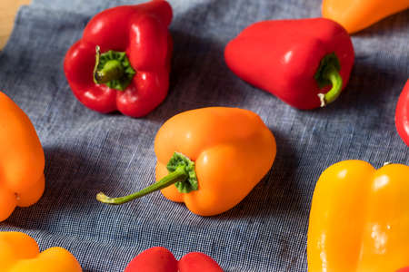 Raw Colorful Mini Bell Peppers in a Bunchの写真素材