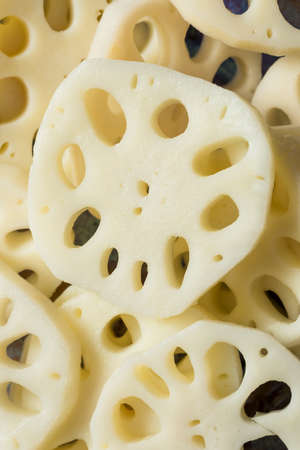 Raw Organic White Lotus Root in Slicesの写真素材