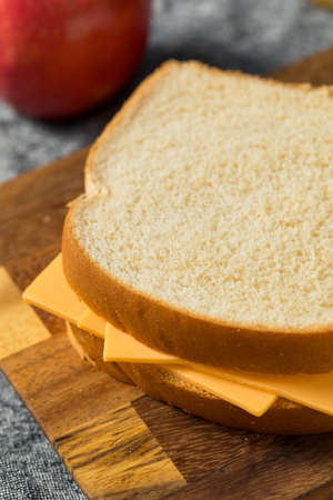 Homemade American Cheese Sandwich with Potato Chips