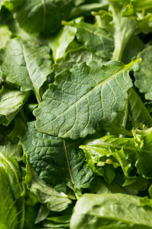 Raw Green Organic Baby Kale Superfood with Antioxidentsの写真素材