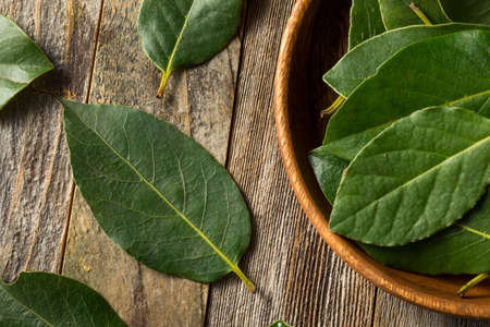 Raw Green Organic Bay Leaves in a Bunchの写真素材