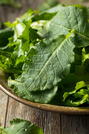 Raw Green Organic Baby Kale Superfood with Antioxidents