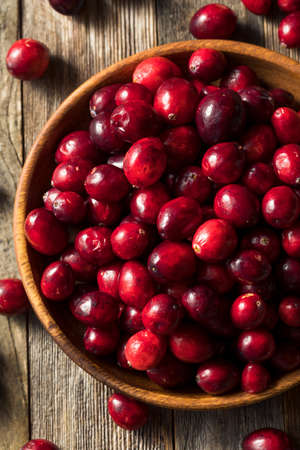 Raw Red Organic Cranberries in a Bowlの写真素材