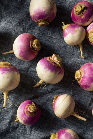 Raw Organic Purple Turnips Ready to Eatの写真素材