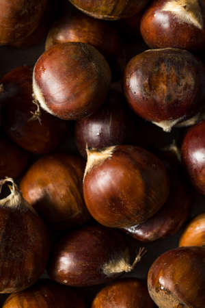 Raw Organic Brown Chestnuts Ready to Roastの写真素材