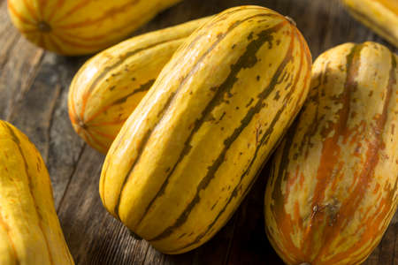 Raw yellow Organic Delicata Squash Ready to Cookの写真素材