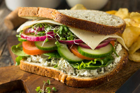 Healthy Organic Veggie Garden Sandwich with Tomato and Cucumberの写真素材