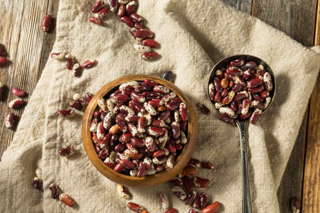 Raw Red Organic Cattle Beans in a Bowl