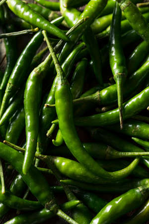 Raw Green Organic  Thai Peppers Ready to Cook Withの写真素材