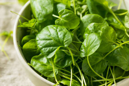 Raw Green Organic Watercress in a Bowl
