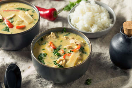 Homemade Spicy Thai Coconut Green Curry with Chickenの写真素材