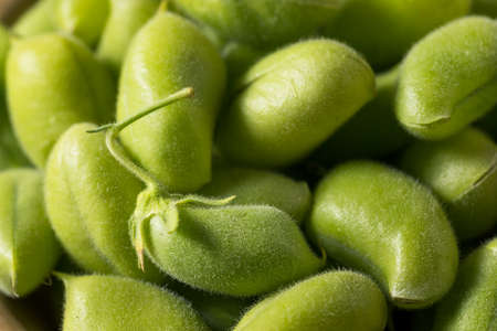 Raw Green Organic  Garbanzo Beans in a Bowlの写真素材
