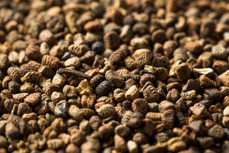 Raw Organic Brown Cardamom Seeds in a Bowlの写真素材