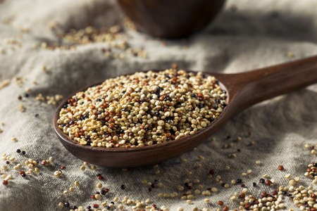 Raw Tricolor Organic Quinoa Kernals in a Bowlの写真素材