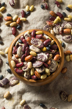 Raw Dried Organic Bean Assortment Ready to Cook