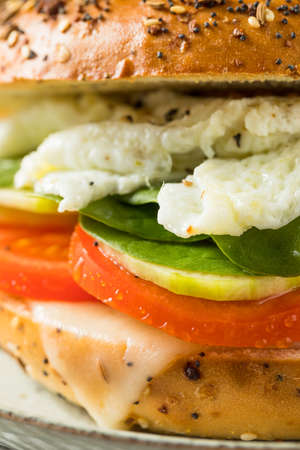 Homemade Healthy Eggwhite Bagel Sandwich with Tomato and Cucumberの写真素材