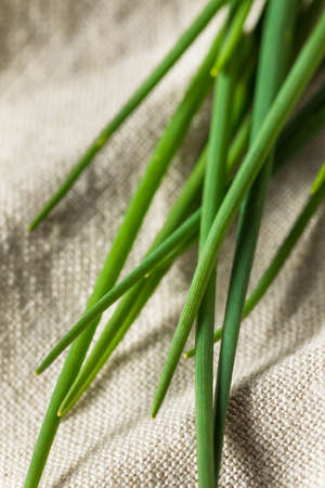 Raw Green Organic Fresh Chives Ready to Cook Withの写真素材