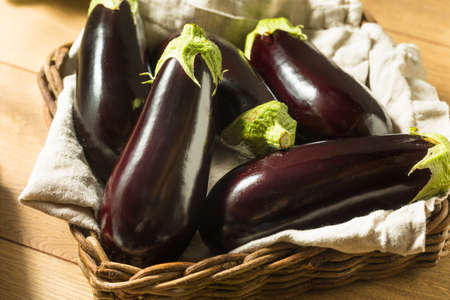 Raw Purple Organic Eggplants in a Bunchの写真素材