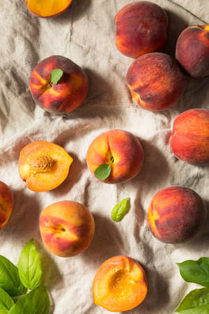 Raw Orange Organic Peaches Ready to Eatの写真素材