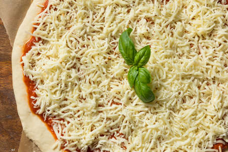 Preparing Homemade Uncooked Cheese PIzza with Sauce and Doughの写真素材