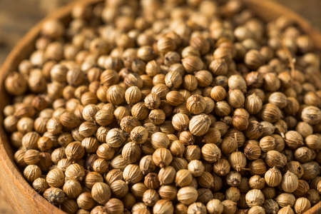 Raw Organic Coriander Seeds in a Bowlの写真素材