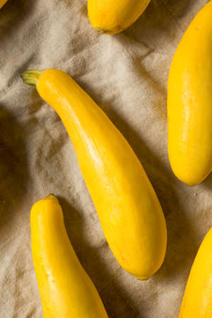 Raw Organic Yellow Zucchini Squash Ready to Cook