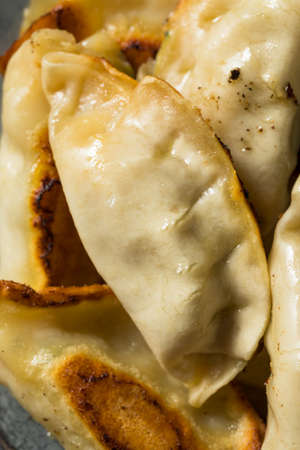 Homemade Gyzo Asian Pork Potstickers with Soy Sauce