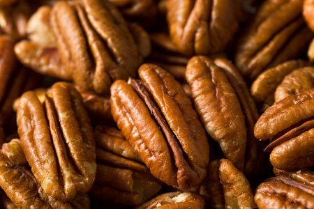 Homemade Organic Shelled Pecans in a Bowl