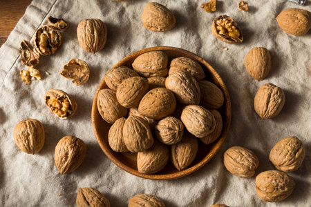 Raw Brown Organic Walnuts Ready to Eatの写真素材