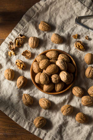 Raw Brown Organic Walnuts Ready to Eat