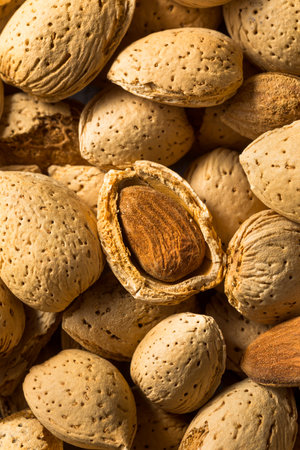 Raw Organic Whole Almonds in a Bowlの写真素材