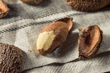 Raw Brown Organic Brazil Nuts in the Shellの写真素材