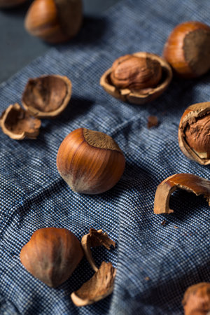 Raw Organic Unshelled Hazelnuts in a Bowlの写真素材