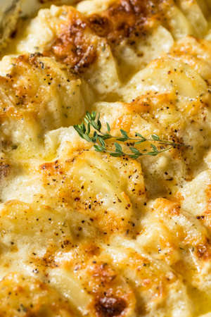 Homemade Creamy Scalloped Potatoes with Cheese and Spicesの写真素材
