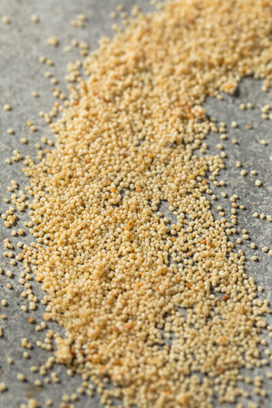 Organic Dry White Quinoa Grain in a Bowlの写真素材
