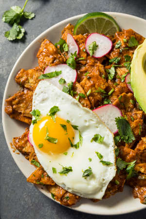 Homemade Mexican Chilaquiles for Breakfast with Egg and Avocadoの写真素材