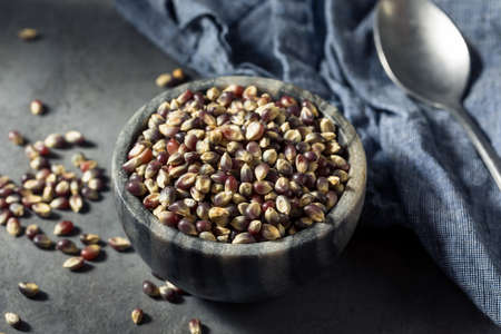 Raw Dry Organic Purple Popcorn in a Bowlの写真素材