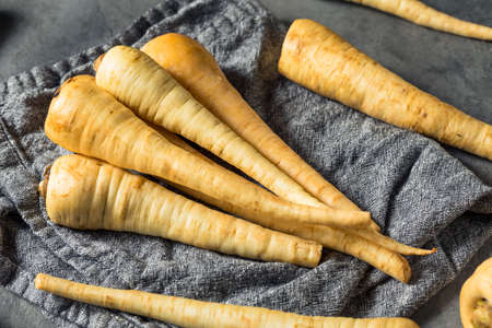 Raw White Organic Parsnips in a Bunchの写真素材