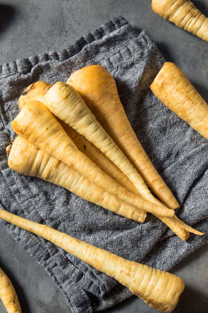 Raw White Organic Parsnips in a Bunchの写真素材