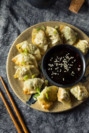 Homemade Pan Fried Chicken Wontons with Dipping Sauce