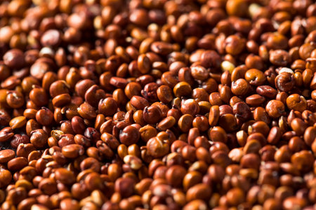 Raw Dry Organic Red Quinoa in a Bowlの写真素材