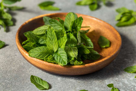 Raw Green Organic Mint Herbs Ready to Use