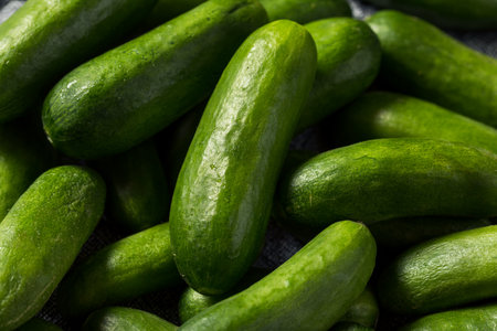 Raw Green Organic Mini Cucumbers Ready to Eatの写真素材