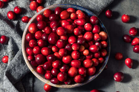 Healthy Red Organic Cranberries in a Bowlの写真素材