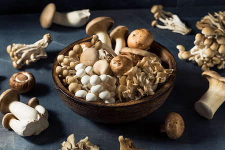 Raw Organic Assorted Gourmet Mushrooms with Trumpet Champignon and Oysterの写真素材
