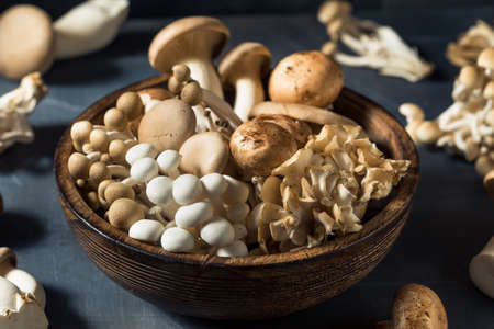 Raw Organic Assorted Gourmet Mushrooms with Trumpet Champignon and Oysterの写真素材