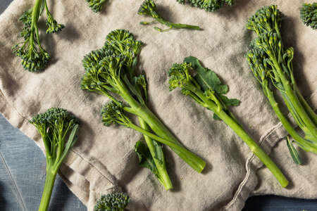 Raw Organic Fresh Broccolini Vegetable Ready to Cookの写真素材