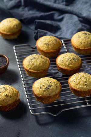 Homemade Lemon Poppyseed Muffins to Eat for Breakfast