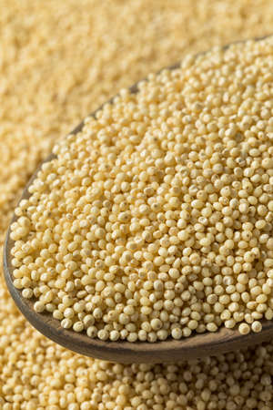 Raw Dry Organic Millet Grain Ready to Cook