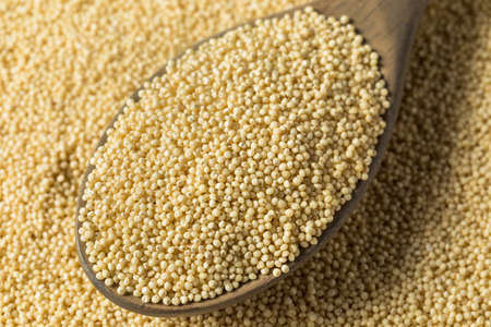 Raw Dry Organic Millet Grain Ready to Cookの写真素材